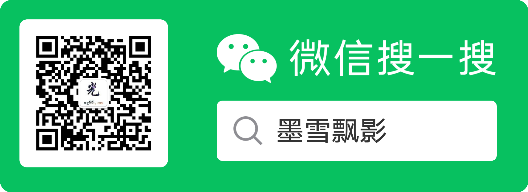 墨雪飘影
